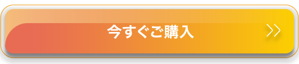 今すぐご購入